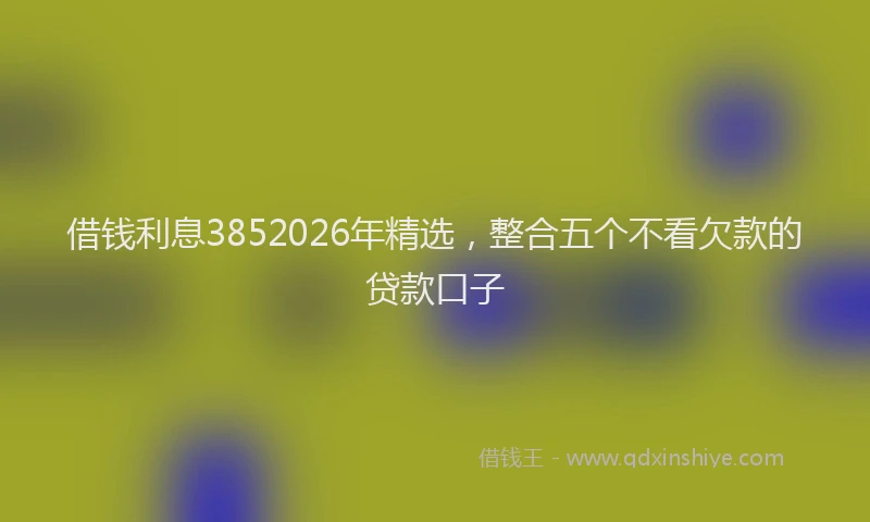 借钱利息3852026年精选，整合五个不看欠款的贷款口子