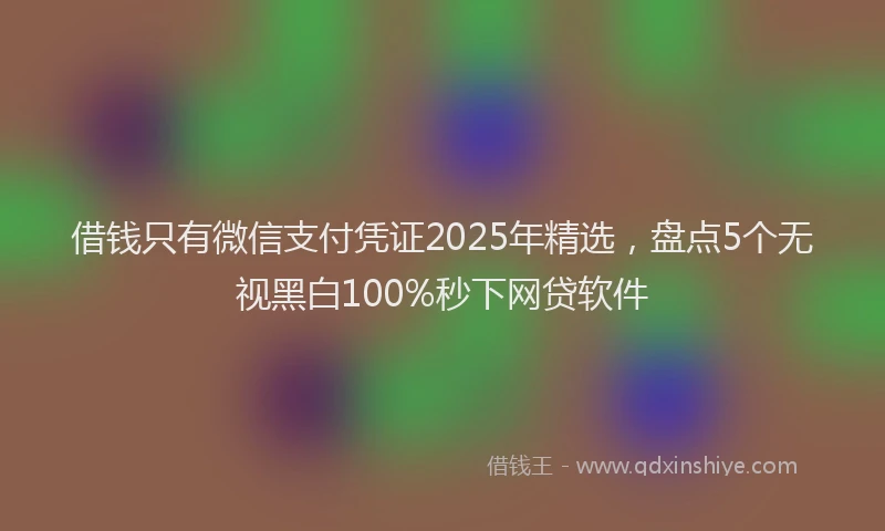 借钱只有微信支付凭证2025年精选，盘点5个无视黑白100%秒下网贷软件