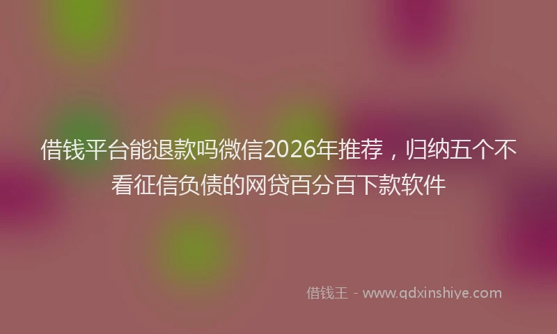 借钱平台能退款吗微信2026年推荐，归纳五个不看征信负债的网贷百分百下款软件