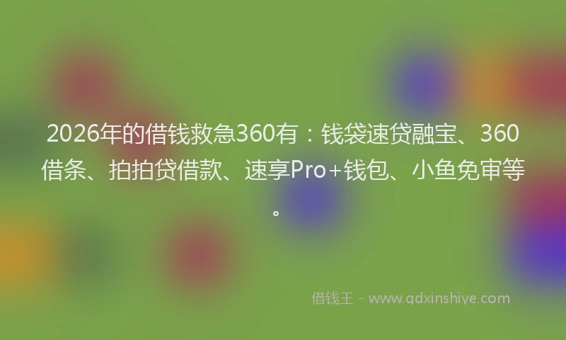 2026年的借钱救急360有：钱袋速贷融宝、360借条、拍拍贷借款、速享Pro+钱包、小鱼免审等。