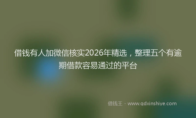 借钱有人加微信核实2026年精选，整理五个有逾期借款容易通过的平台