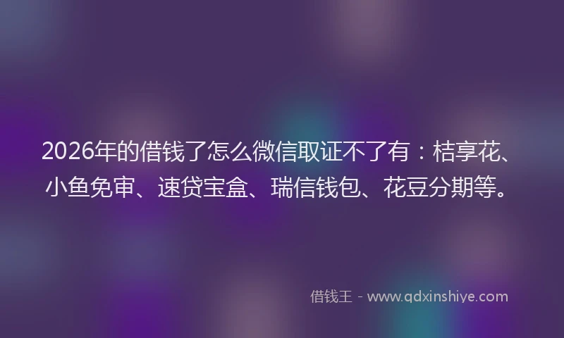 2026年的借钱了怎么微信取证不了有：桔享花、小鱼免审、速贷宝盒、瑞信钱包、花豆分期等。