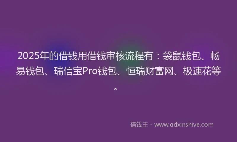 2025年的借钱用借钱审核流程有：袋鼠钱包、畅易钱包、瑞信宝Pro钱包、恒瑞财富网、极速花等。