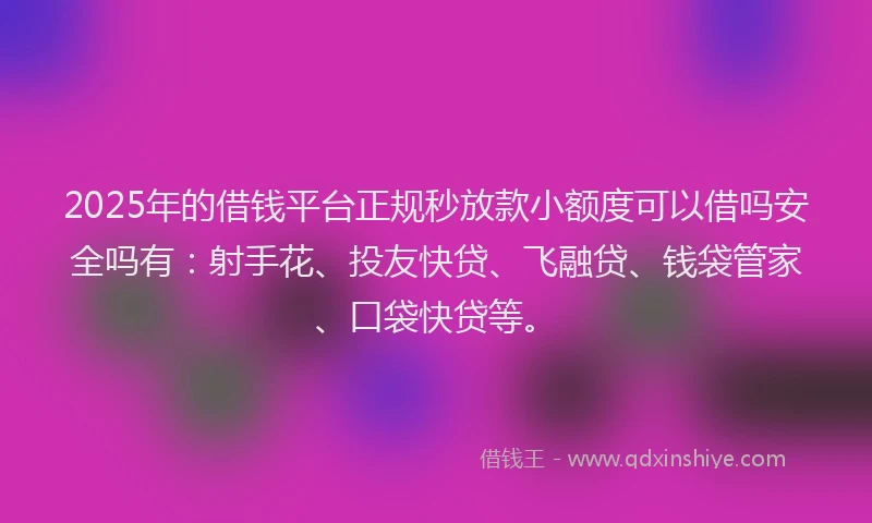 2025年的借钱平台正规秒放款小额度可以借吗安全吗有：射手花、投友快贷、飞融贷、钱袋管家、口袋快贷等。
