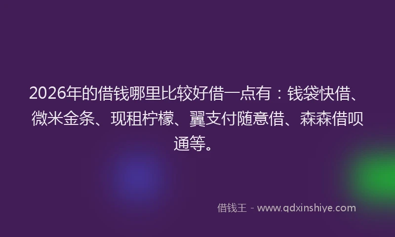 2026年的借钱哪里比较好借一点有：钱袋快借、微米金条、现租柠檬、翼支付随意借、森森借呗通等。
