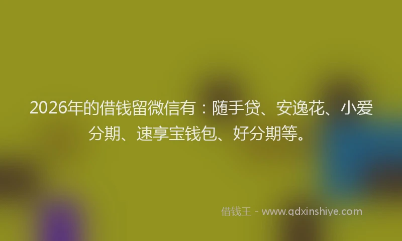 2026年的借钱留微信有：随手贷、安逸花、小爱分期、速享宝钱包、好分期等。