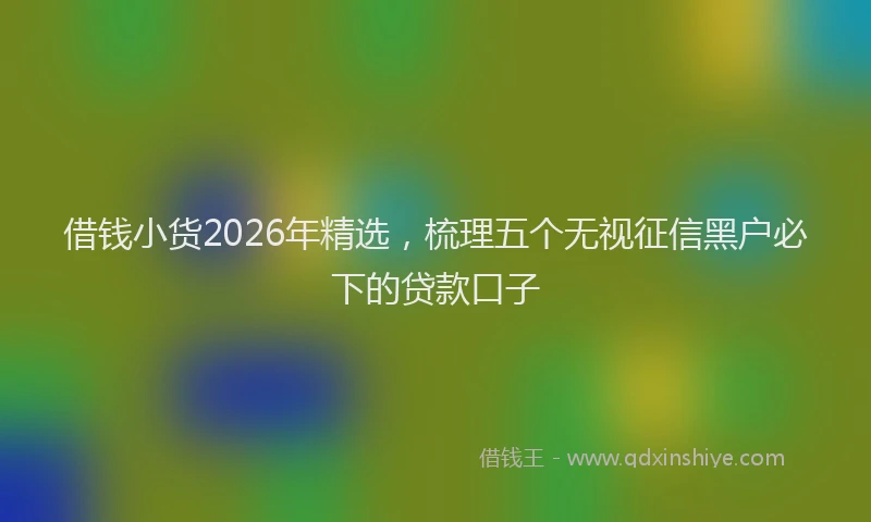 借钱小货2026年精选，梳理五个无视征信黑户必下的贷款口子