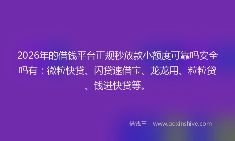 2026年的借钱平台正规秒放款小额度可靠吗安全吗有：微粒快贷、闪贷速借宝、龙龙用、粒粒贷、钱进快贷等。