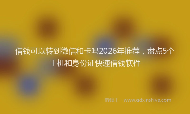 借钱可以转到微信和卡吗2026年推荐，盘点5个手机和身份证快速借钱软件