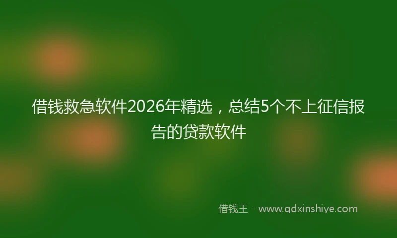 借钱救急软件2026年精选，总结5个不上征信报告的贷款软件
