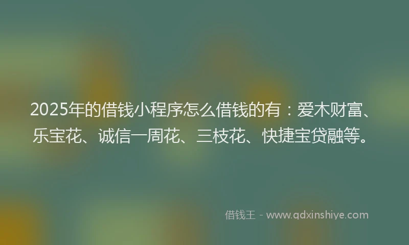 2025年的借钱小程序怎么借钱的有:爱木财富、乐宝花、诚信一周花、三枝花、快捷宝贷融等。