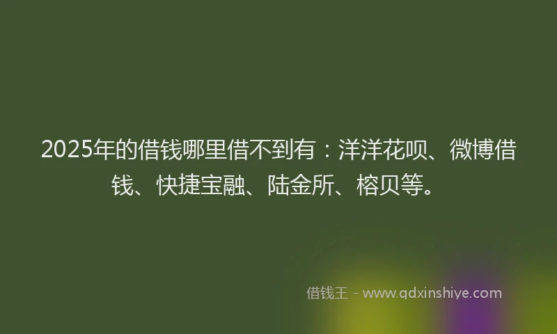 2025年的借钱哪里借不到有：洋洋花呗、微博借钱、快捷宝融、陆金所、榕贝等。