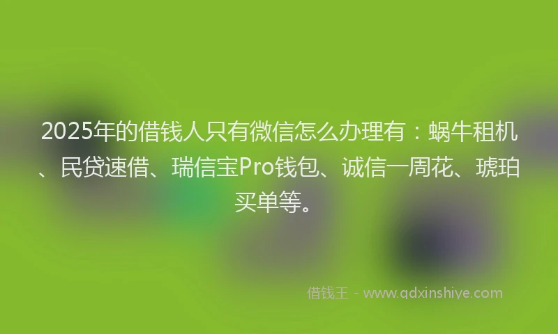 2025年的借钱人只有微信怎么办理有：蜗牛租机、民贷速借、瑞信宝Pro钱包、诚信一周花、琥珀买单等。