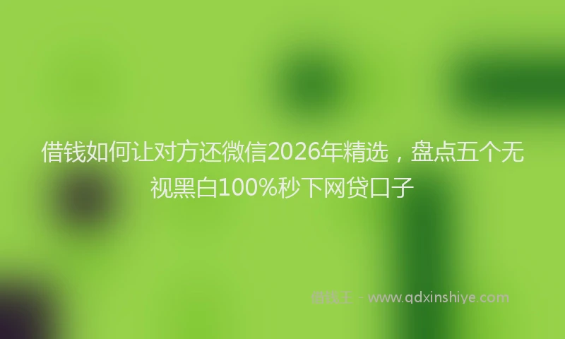 借钱如何让对方还微信2026年精选,盘点五个无视黑白100%秒下网贷口子