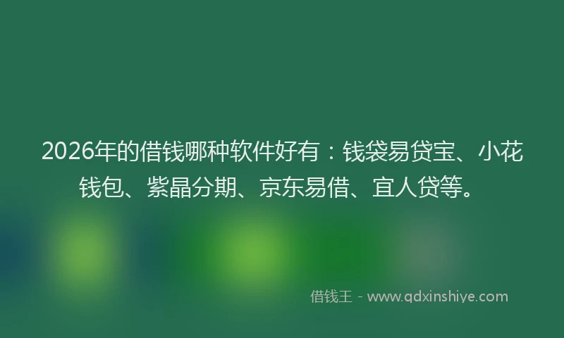 2026年的借钱哪种软件好有:钱袋易贷宝、小花钱包、紫晶分期、京东易借、宜人贷等。