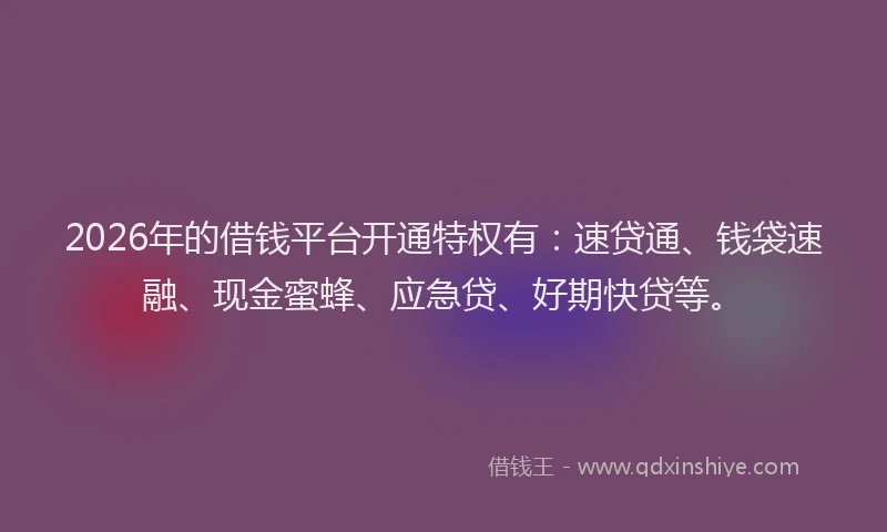 2026年的借钱平台开通特权有：速贷通、钱袋速融、现金蜜蜂、应急贷、好期快贷等。