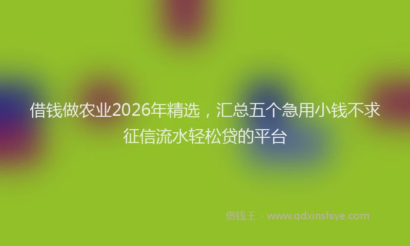 借钱做农业2026年精选，汇总五个急用小钱不求征信流水轻松贷的平台