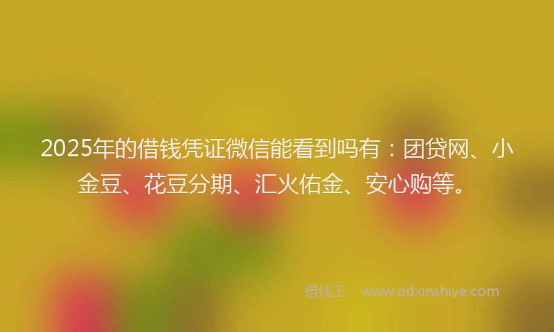 2025年的借钱凭证微信能看到吗有：团贷网、小金豆、花豆分期、汇火佑金、安心购等。