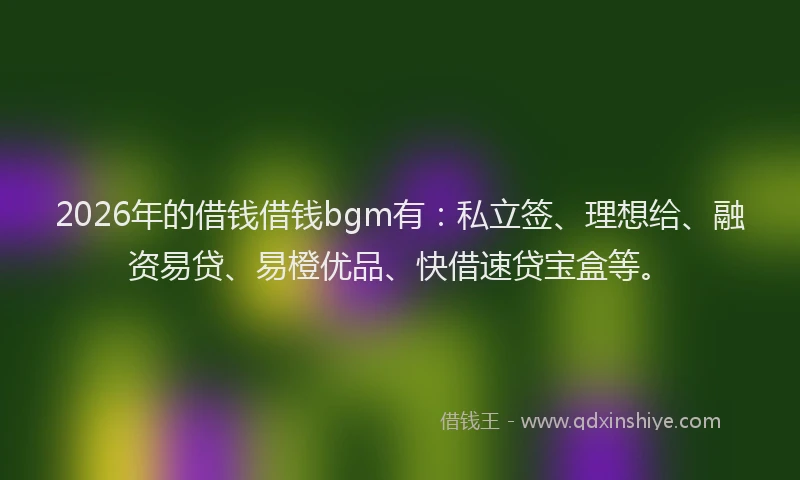 2026年的借钱借钱bgm有：私立签、理想给、融资易贷、易橙优品、快借速贷宝盒等。