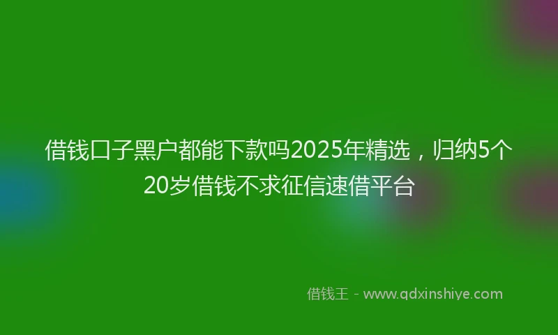 借钱口子黑户都能下款吗2025年精选，归纳5个20岁借钱不求征信速借平台