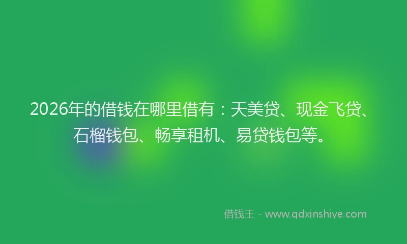 2026年的借钱在哪里借有:天美贷、现金飞贷、石榴钱包、畅享租机、易贷钱包等。