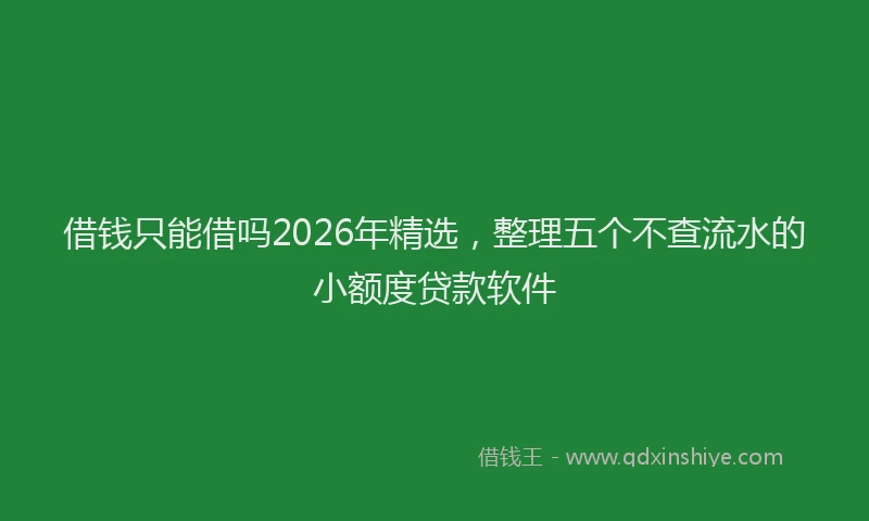借钱只能借吗2026年精选，整理五个不查流水的小额度贷款软件