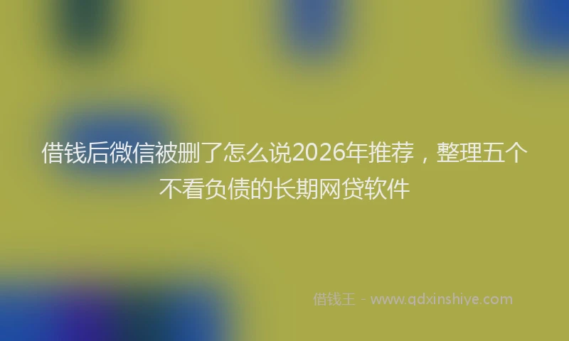 借钱后微信被删了怎么说2026年推荐，整理五个不看负债的长期网贷软件