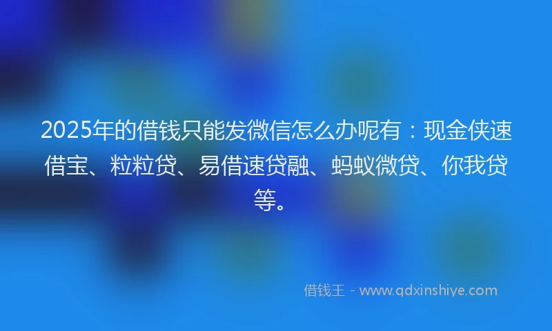 2025年的借钱只能发微信怎么办呢有：现金侠速借宝、粒粒贷、易借速贷融、蚂蚁微贷、你我贷等。