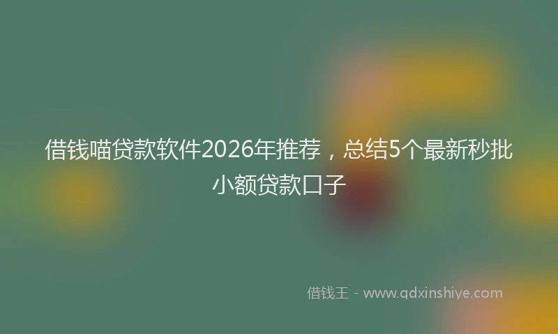 借钱喵贷款软件2026年推荐，总结5个最新秒批小额贷款口子