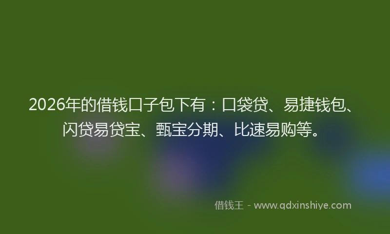 2026年的借钱口子包下有：口袋贷、易捷钱包、闪贷易贷宝、甄宝分期、比速易购等。