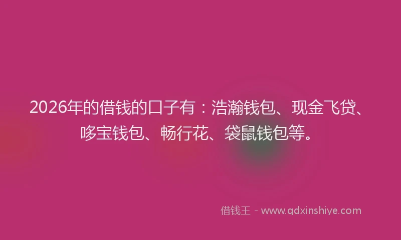 2026年的借钱的口子有：浩瀚钱包、现金飞贷、哆宝钱包、畅行花、袋鼠钱包等。