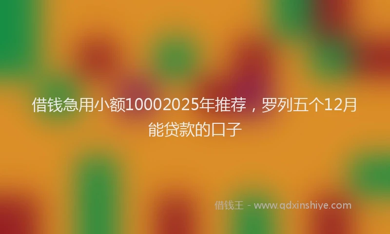 借钱急用小额10002025年推荐，罗列五个12月能贷款的口子