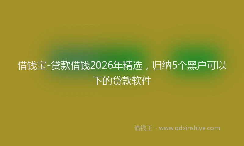 借钱宝-贷款借钱2026年精选,归纳5个黑户可以下的贷款软件