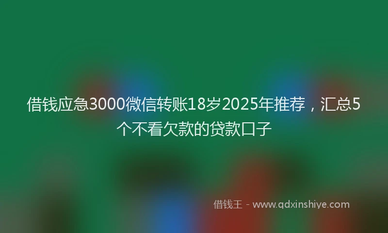 借钱应急3000微信转账18岁2025年推荐，汇总5个不看欠款的贷款口子