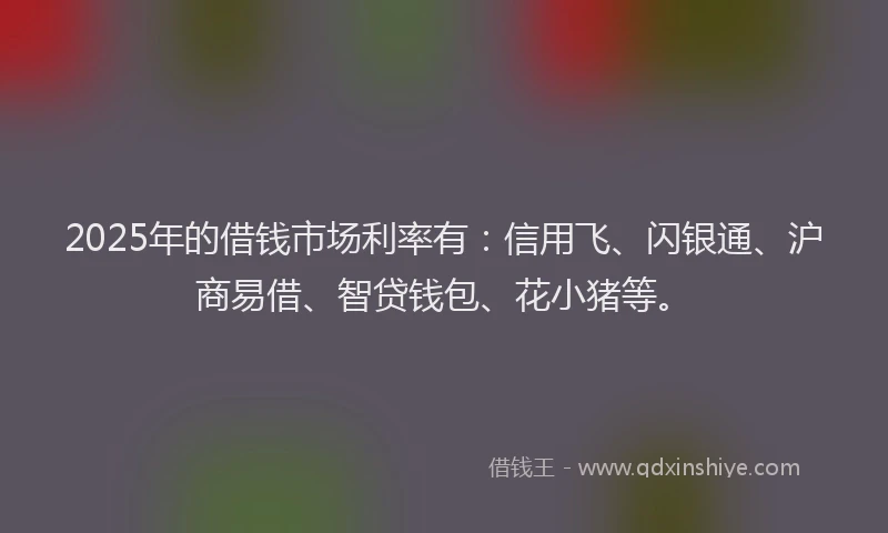 2025年的借钱市场利率有：信用飞、闪银通、沪商易借、智贷钱包、花小猪等。