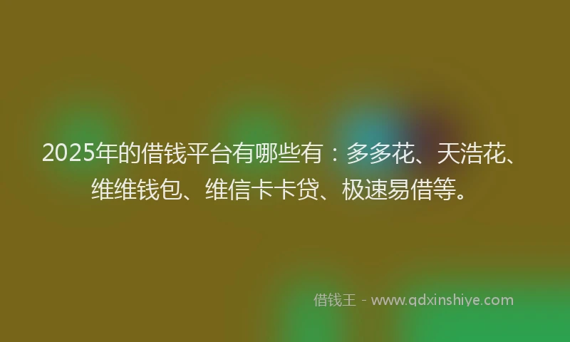 2025年的借钱平台有哪些有：多多花、天浩花、维维钱包、维信卡卡贷、极速易借等。