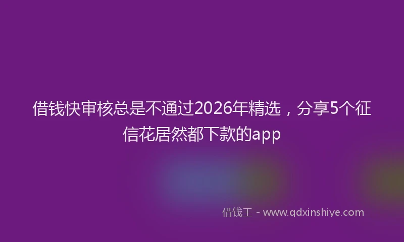 借钱快审核总是不通过2026年精选，分享5个征信花居然都下款的app