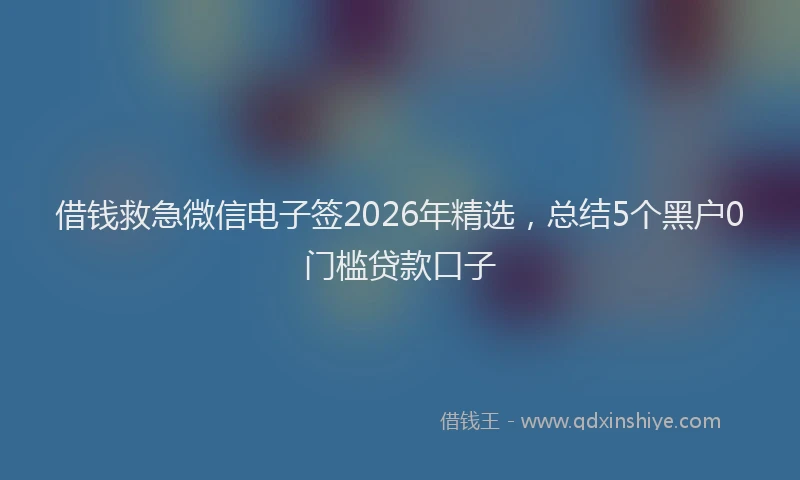 借钱救急微信电子签2026年精选，总结5个黑户0门槛贷款口子