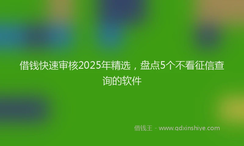 借钱快速审核2025年精选，盘点5个不看征信查询的软件