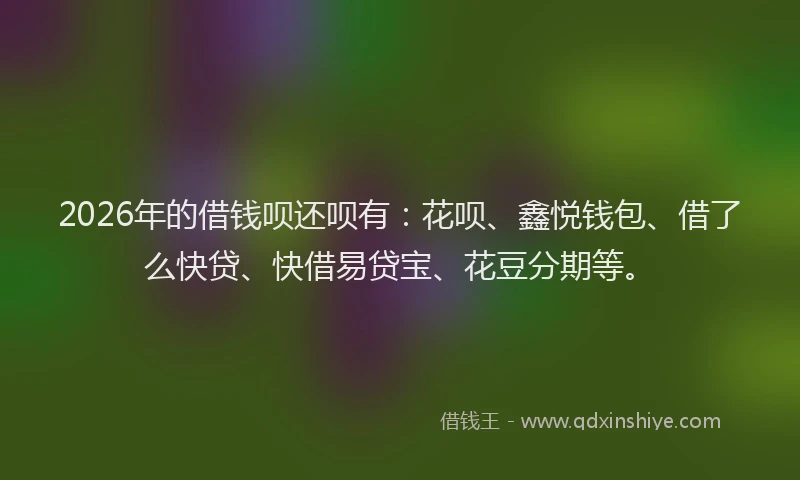 2026年的借钱呗还呗有:花呗、鑫悦钱包、借了么快贷、快借易贷宝、花豆分期等。