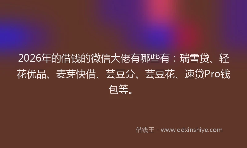 2026年的借钱的微信大佬有哪些有：瑞雪贷、轻花优品、麦芽快借、芸豆分、芸豆花、速贷Pro钱包等。