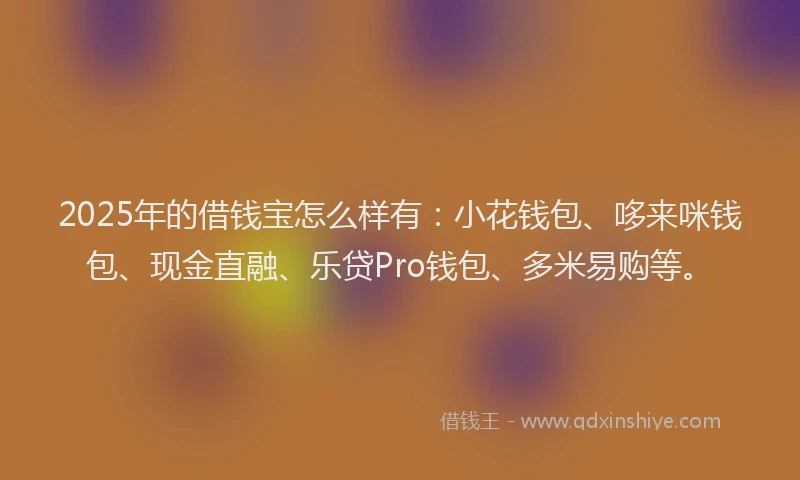 2025年的借钱宝怎么样有：小花钱包、哆来咪钱包、现金直融、乐贷Pro钱包、多米易购等。