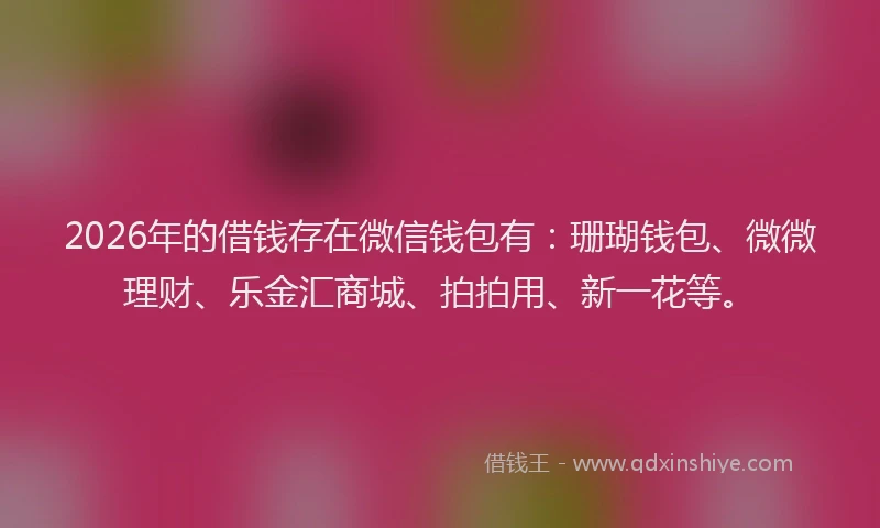 2026年的借钱存在微信钱包有：珊瑚钱包、微微理财、乐金汇商城、拍拍用、新一花等。