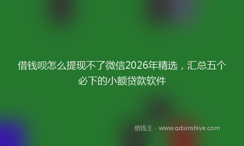 借钱呗怎么提现不了微信2026年精选，汇总五个必下的小额贷款软件