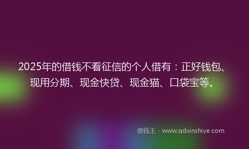 2025年的借钱不看征信的个人借有：正好钱包、现用分期、现金快贷、现金猫、口袋宝等。