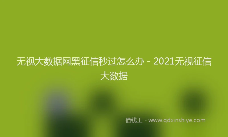 无视大数据网黑征信秒过怎么办 - 2021无视征信大数据