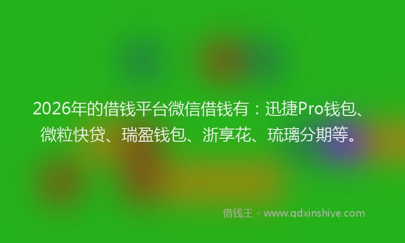 2026年的借钱平台微信借钱有:迅捷Pro钱包、微粒快贷、瑞盈钱包、浙享花、琉璃分期等。