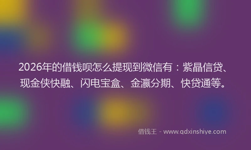 2026年的借钱呗怎么提现到微信有：紫晶信贷、现金侠快融、闪电宝盒、金瀛分期、快贷通等。