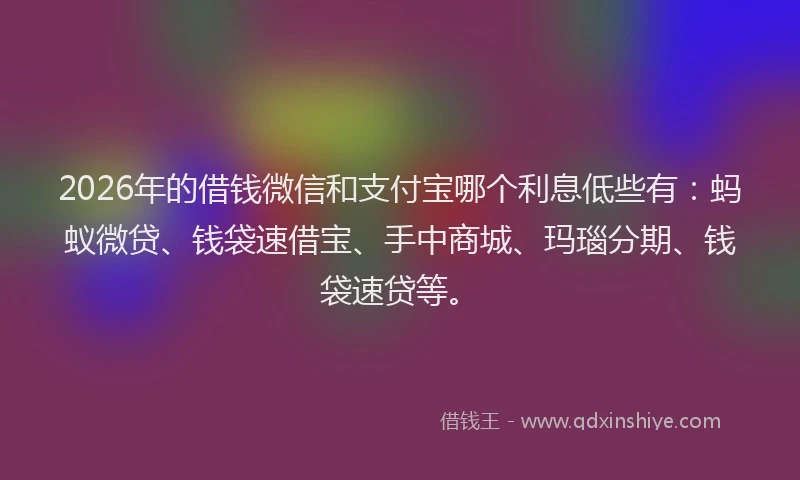 2026年的借钱微信和支付宝哪个利息低些有:蚂蚁微贷、钱袋速借宝、手中商城、玛瑙分期、钱袋速贷等。