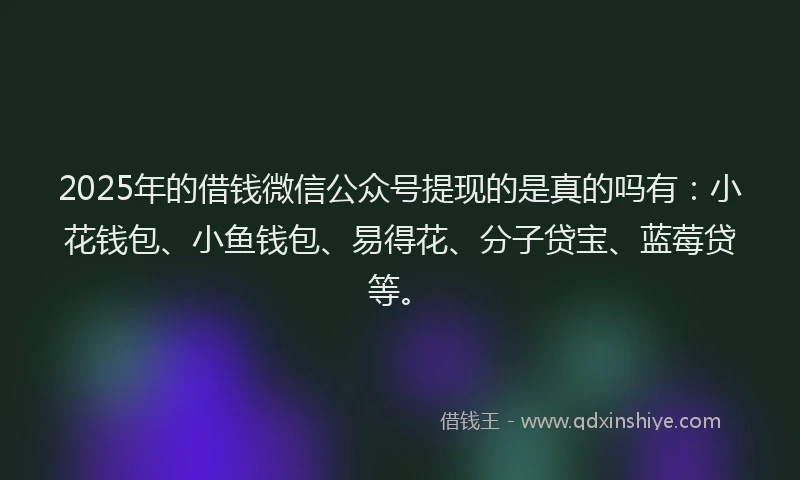 2025年的借钱微信公众号提现的是真的吗有:小花钱包、小鱼钱包、易得花、分子贷宝、蓝莓贷等。